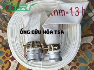 Ong cu hoa TSR 2