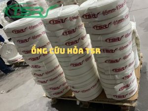 Ong cu hoa TSR 3